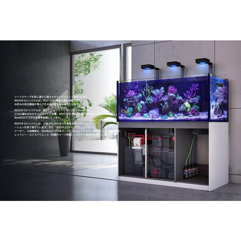 Red Sea(レッドシー) オーバーフロー水槽 REEFER 300 G2 楽天市場】レッドシーREEFER 300DX G2 + : CEPPO WEB SHOP