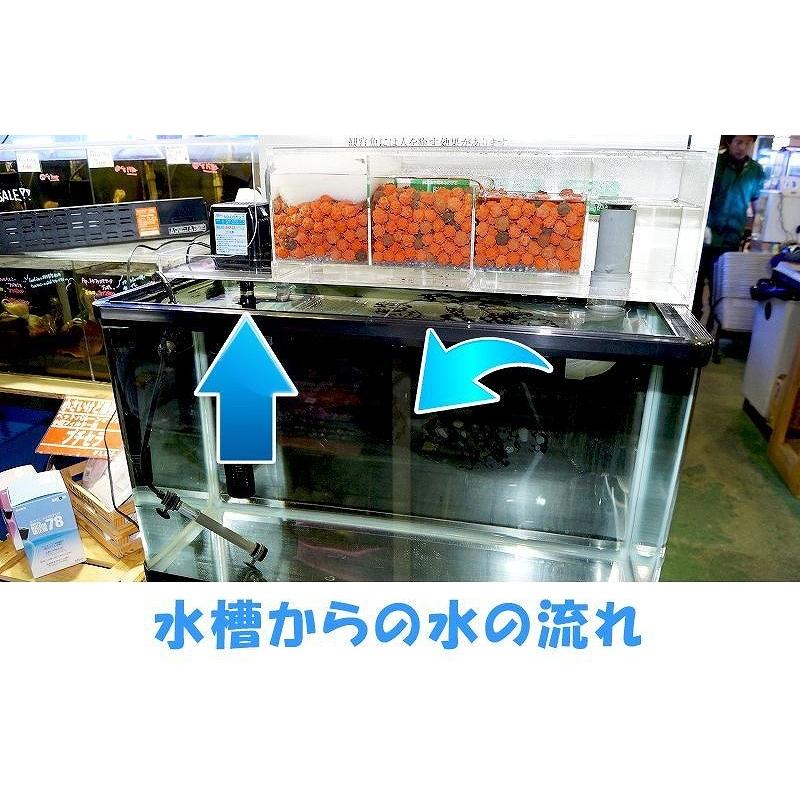 オリジナル】 EASY TOP フィルター MODEL900【送料梱包料込み 