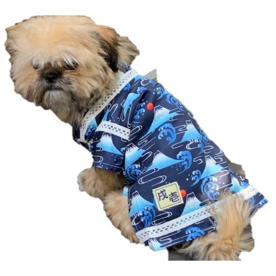 ジョージエリオット 説明 拍手する 犬 着物 甚平 Changingthefaceofdying Com