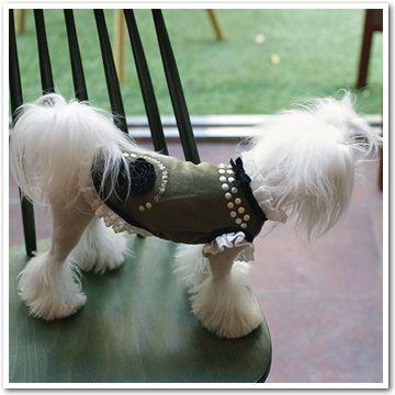 犬 服 ペット ウェア Dog ドッグ 犬用 Paris Dog 薔薇コサージュワンピース K Paris0038 犬服犬用品petbluelペットブルール 通販 Yahoo ショッピング