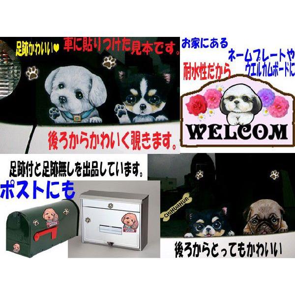 リアル オーナーズグッズ 車 バイク 玄関 ポスト 壁 キッチン 浴室 ミラー に貼ろう 犬 ステッカー アメリカンコッカースパニエル 7 シール 可愛い 車 壁 玄関 オーダー グッズ プレゼント ドッグ イラスト シルエット かわいい 顔 Www Threeriversofs Com