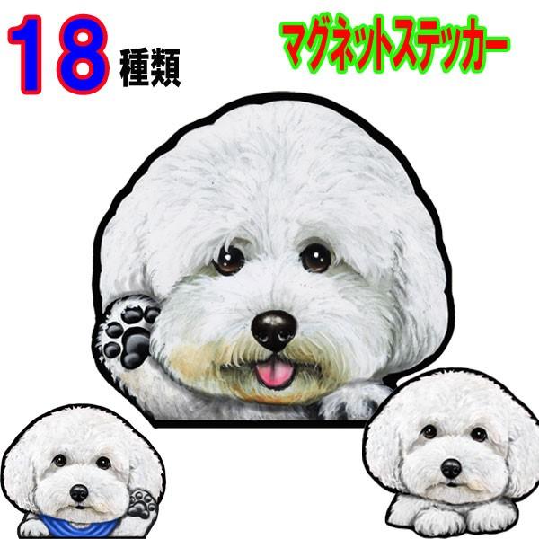 送料無料 即納 犬 ステッカー ビションフリーゼ マグネット 可愛い 車 冷蔵庫 オーダー グッズ 雑貨 プレゼント ドッグ オリジナル イラスト シルエット かわいい 顔 Discoversvg Com