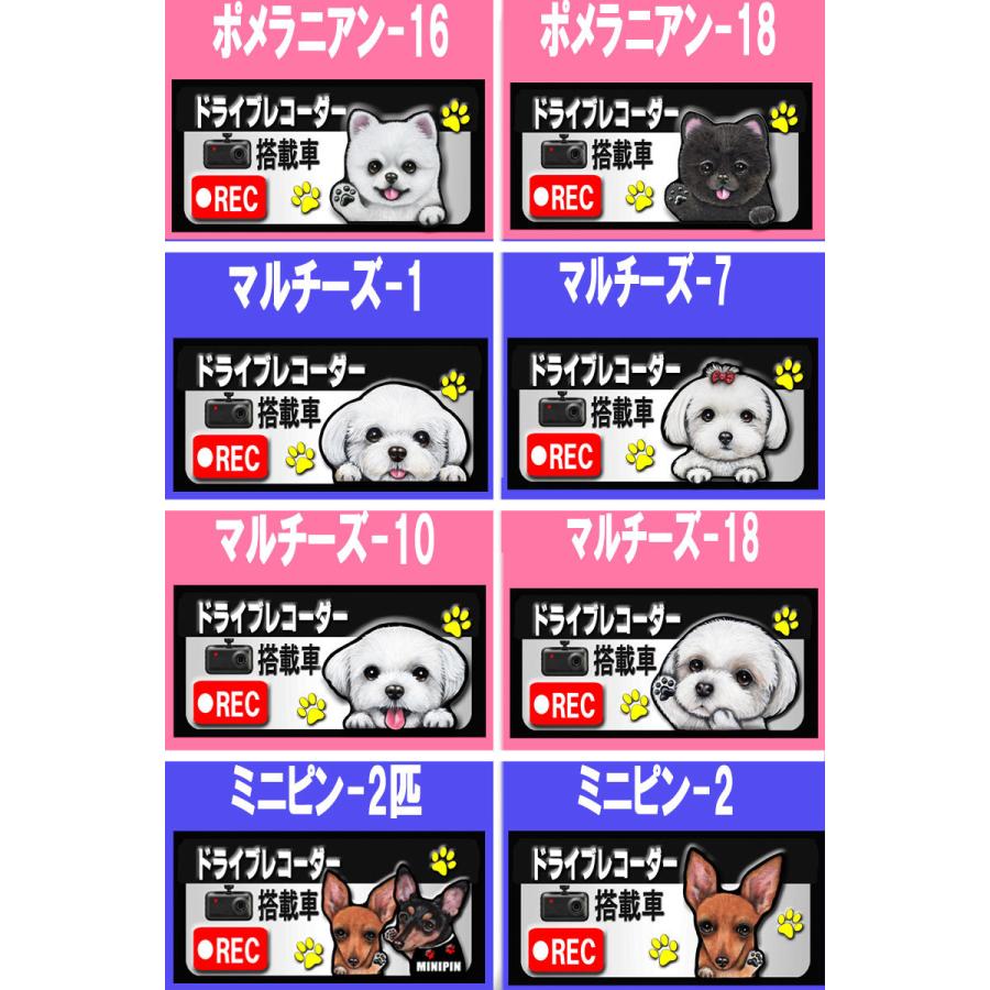 白 ドライブ レコーダー搭載 録画 ステッカー 犬 シール 可愛い 車用 あおり運転 防止 抑制 オーダーメイド グッズ プレゼント シルエット おしゃれ かわいい 顔 19 63s ステッカーグッズのペットちゃん 通販 Yahoo ショッピング
