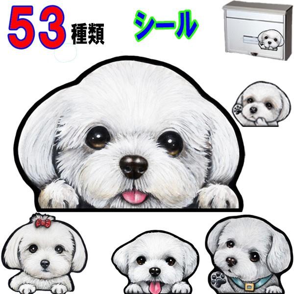 犬 ステッカー マルチーズ シール 可愛い 車 着後レビューで 壁 玄関 愛犬 雑貨 ドッグ プレゼント オーダー シルエット イラスト かわいい オリジナル グッズ 顔