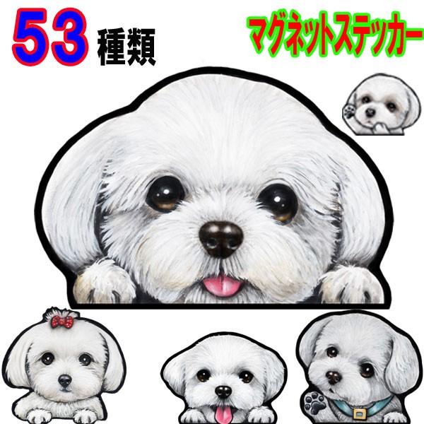 犬 ステッカー マルチーズ マグネット 可愛い 車 冷蔵庫 オーダー グッズ 雑貨 プレゼント ドッグ オリジナル イラスト シルエット かわいい 顔