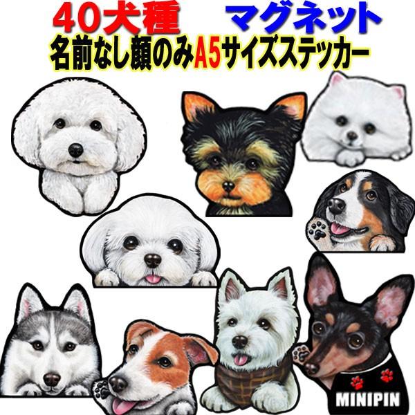 ａ5 マグネットステッカー 犬 可愛い 車 壁 玄関 グッズ プレゼント ドッグ イラスト シルエット かわいい 顔 25 21 M ステッカーグッズのペットちゃん 通販 Yahoo ショッピング