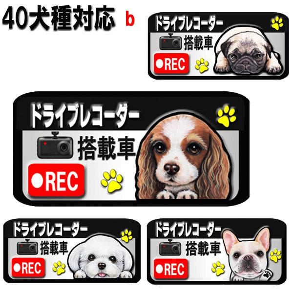 白 マグネット ドライブレコーダー搭載 録画 ステッカー 犬 可愛い 車用 あおり運転 抑制 かわいい 顔 防止 おしゃれ 満点の オーダーメイド プレゼント グッズ