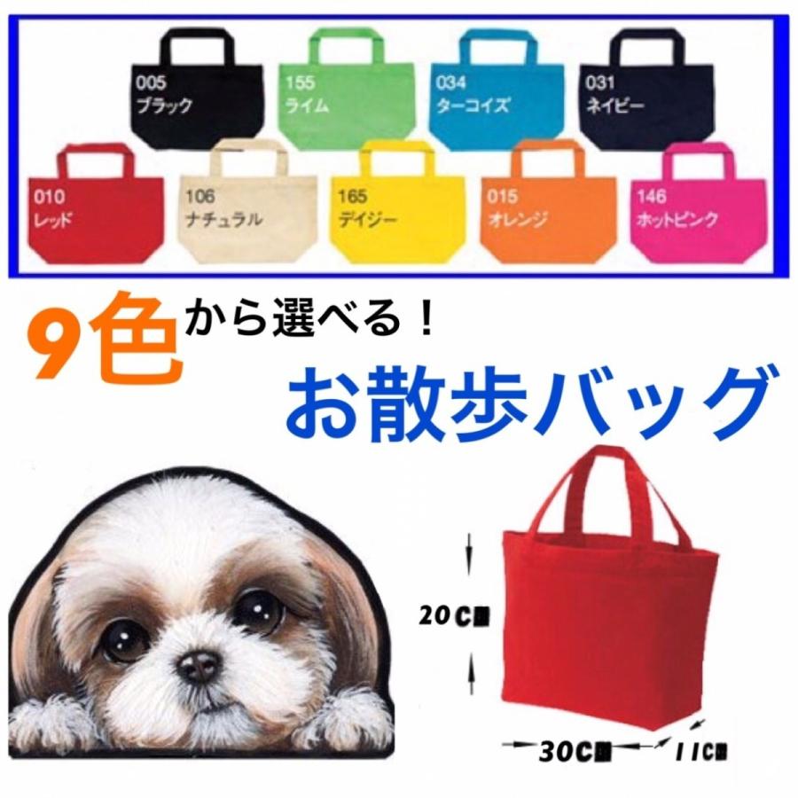 お散歩バッグ ダックスフンド 19 キャンバス バッグ/犬 カラフル トート バック グッズ かばん 鞄 オーダーメイド オリジナル|petchan-wan|02