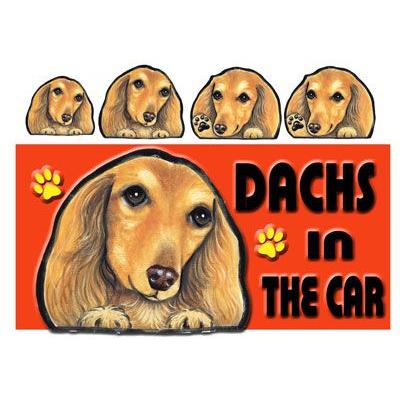 大量入荷 魅力的な 犬 ステッカー ダックスフンド14 名前 ネーム入れOK ダックス シール 愛犬 雑貨 グッズ DOG IN CAR オリジナル 車 犬雑貨 pluswap.com pluswap.com