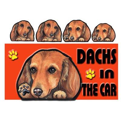 61％以上節約 定番 犬 ステッカー ダックスフンド6 名前 ネーム入れOK ダックス シール 愛犬 雑貨 グッズ DOG IN CAR オリジナル 車 犬雑貨 pluswap.com pluswap.com