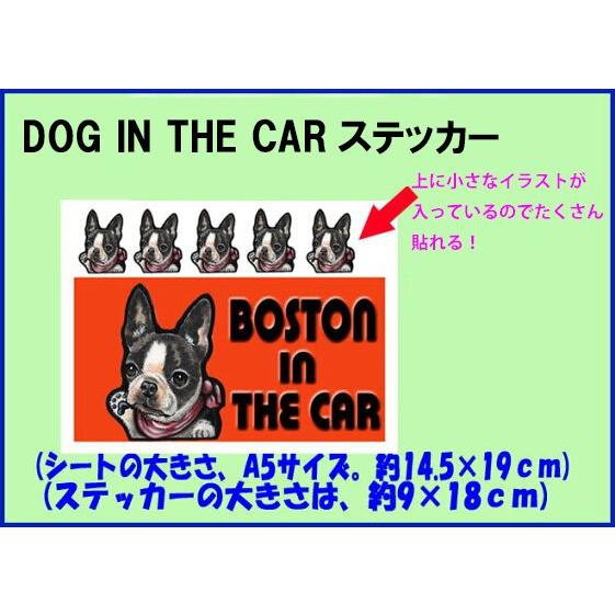 DOG IN THE CAR ステッカー トイプードル217 犬 シール オーダー
