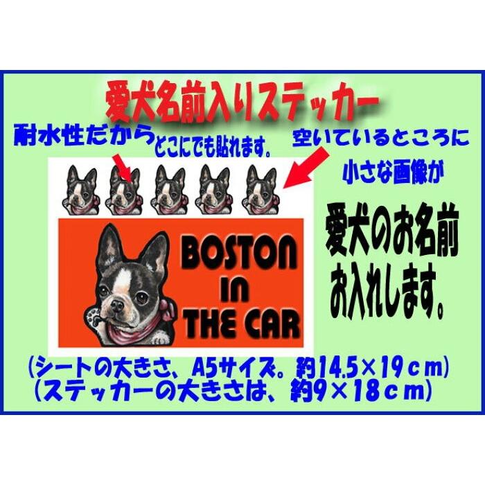 マグネット 人気商品ランキング 犬ステッカー キャバリア8 犬 名前 ネーム入れOK 愛犬 雑貨 車 オリジナル DOG グッズ 犬雑貨 IN CAR