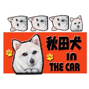 犬 ステッカー 贅沢 秋田犬2 シール 名前 ネーム入れOK 感謝価格 愛犬 雑貨 犬雑貨 CAR オリジナル IN グッズ 車 DOG