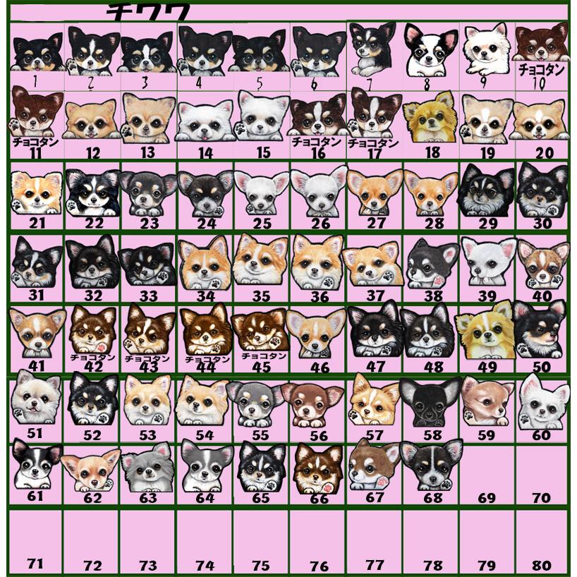 犬イラスト小物入れ その他 楽天市場】【在庫処分セール】D・O・G ディー・オー・ジー DOG