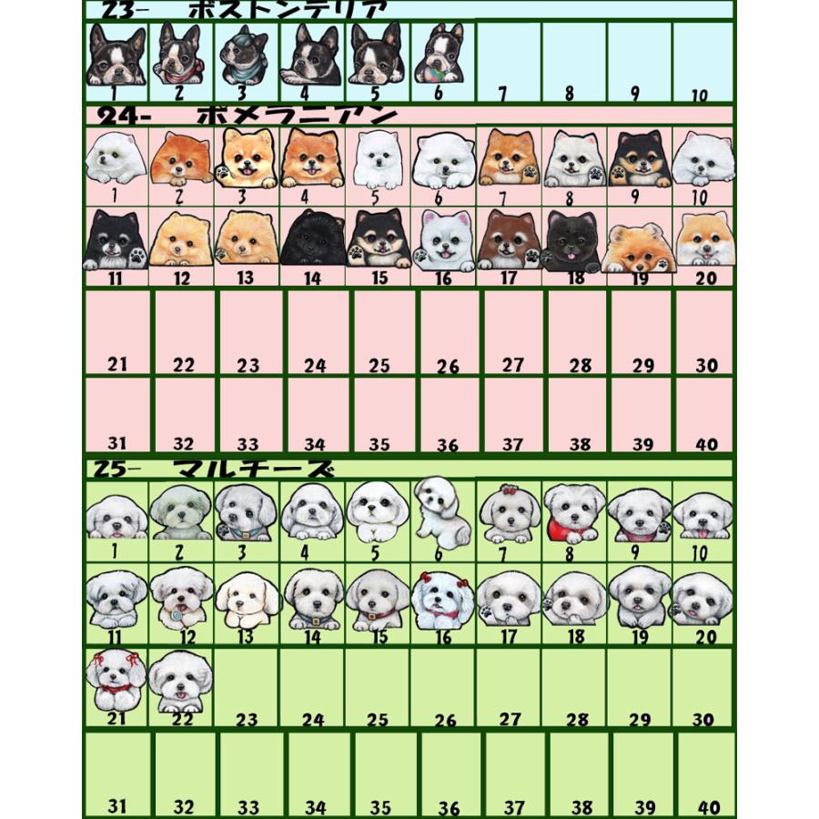 パウ ステッカー 犬 シール 肉球 足跡 可愛い 車 壁 玄関 グッズ プレゼント ドッグ イラスト シルエット かわいい 顔 Pw 1 1 ステッカーグッズのペットちゃん 通販 Yahoo ショッピング