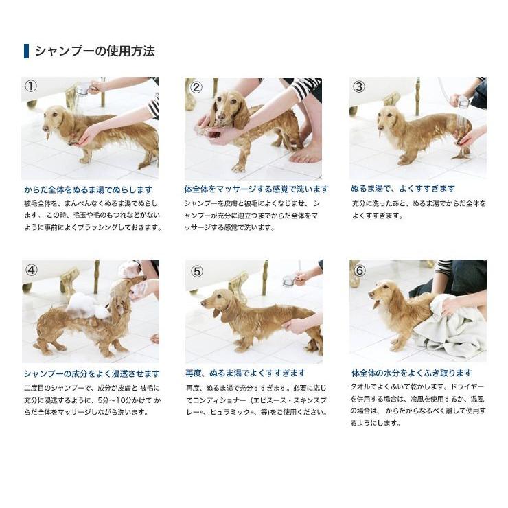 最大65%OFFクーポン ビルバック アデルミル ペプチド 犬猫用 シャンプー 200ml 2個セット discoversvg.com 最大65%OFFクーポン ビルバック アデルミル ペプチド 犬猫用 シャンプー 200ml 2個セット discoversvg.com