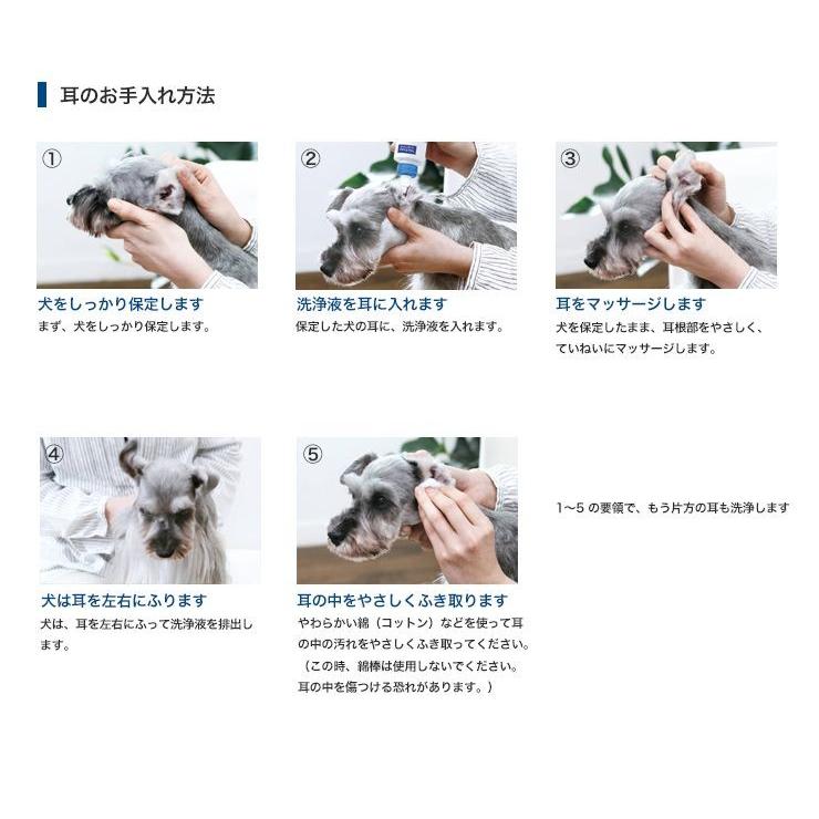 ビルバック エピオティック ペプチド イヤークリーナー 250ml 2個  