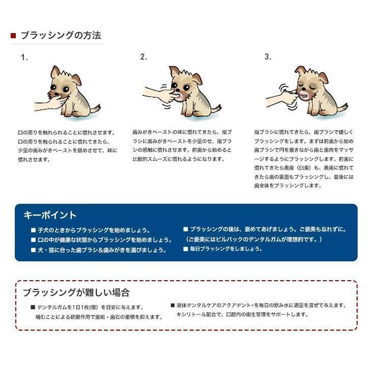 ビルバック  犬猫用 歯磨きペースト チキンフレーバー 70g×12個セット｜petcure-dgs｜02