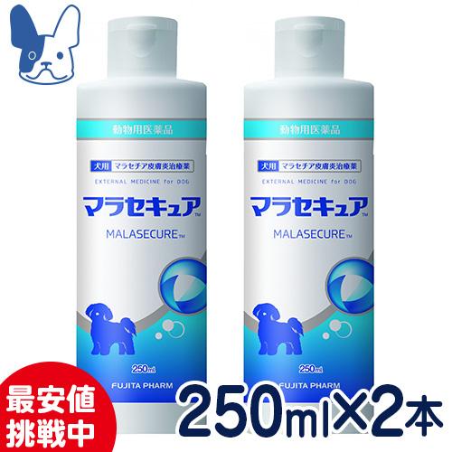 4月sale マラセチア皮膚炎治療薬 犬用 マラセキュアシャンプー 250ml ２本セット 動物用医薬品 国産 Set2 ペットcure Dgs Yahoo店 通販 Yahoo ショッピング