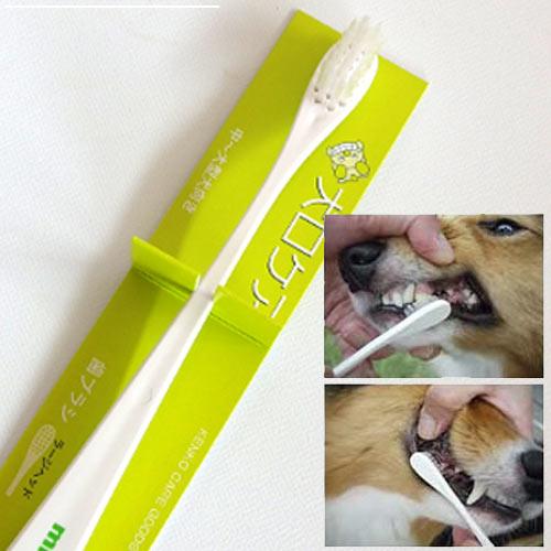 犬口ケア　歯ブラシ　ラージヘッド　【メール便対応】★ | 犬口ケア | 01