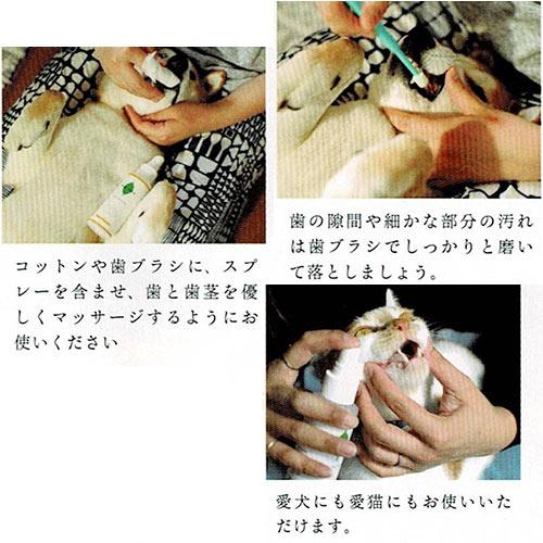 ＷＡＦＯＮＡ（ワフォナ）ペット用オーラルケアスプレー　100ｍｌ【口内除菌・口臭予防】　★ |  | 01