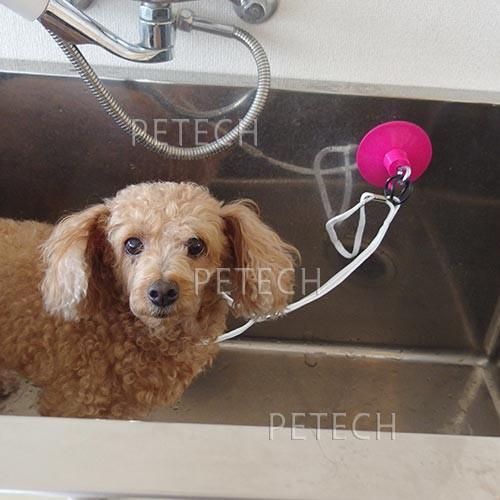 超強力　吸盤（ハンドラー付）　【ドッグバス用リード】　★ |  | 02