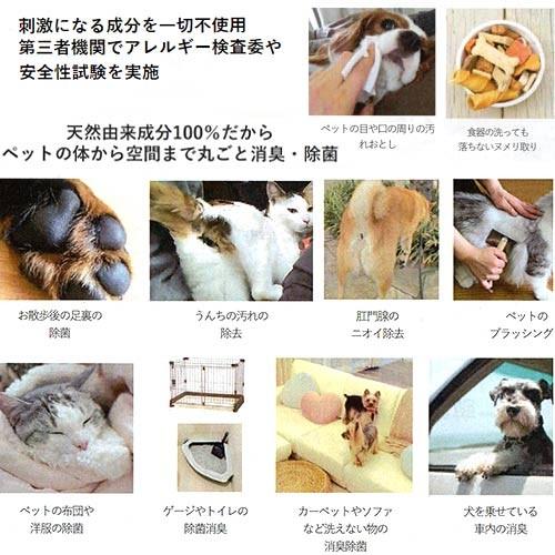 APDC　キレイウォーター　グリーンフォレスト　詰替用　１Ｌ　★ | A.P.D.C. | 02