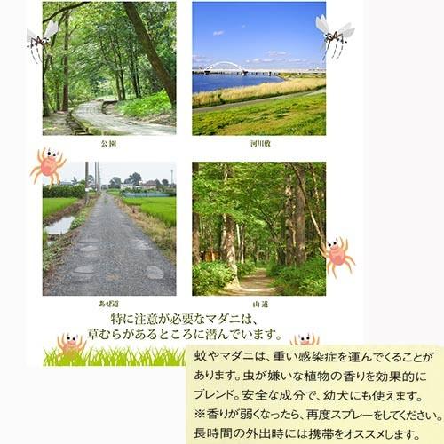 APDC　ニーム&シトロネラスプレー　犬用　125ｍｌ　★ | A.P.D.C. | 01