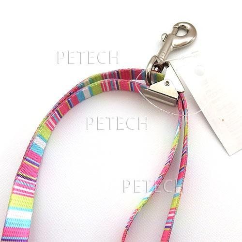 細めアジャスタブル（10mm）　マルチピンストライプ　【トリミング用リード】　【メール便対応】★ |  | 01