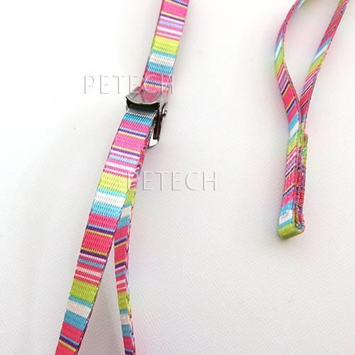 細めアジャスタブル（10mm）　マルチピンストライプ　【トリミング用リード】　【メール便対応】★ |  | 02