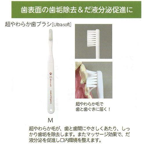 【業務用12本入】超やわらか歯ブラシ（Ultra soft）　Ｍ　made of organics　★ | たかくら新産業 | 01