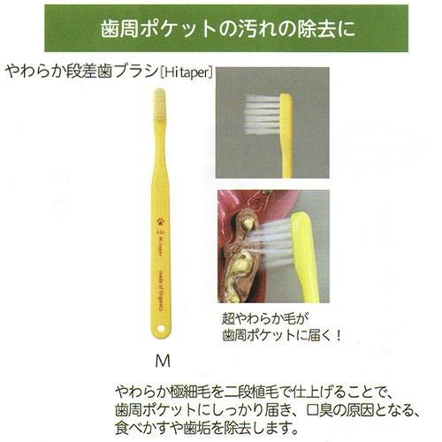 【業務用12本入】やわらか段差歯ブラシ（Hi taper）　Ｍ　made of organics　★ | たかくら新産業 | 01