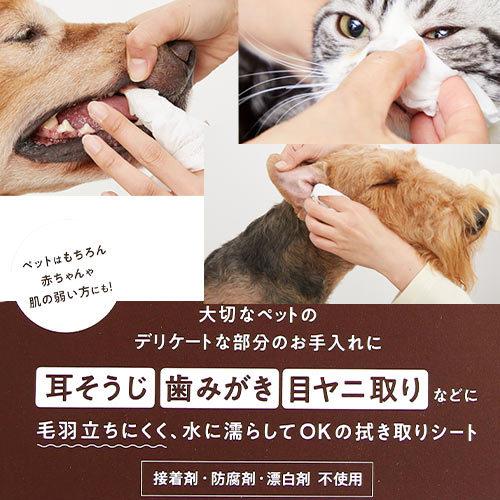 オーガニック　コットン シート　80枚入り　★ | たかくら新産業 | 01