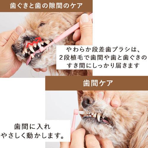やわらか極小歯ブラシ（One tuft）　ＳＳ　made of organics　【メール便対応】　★ | たかくら新産業 | 02