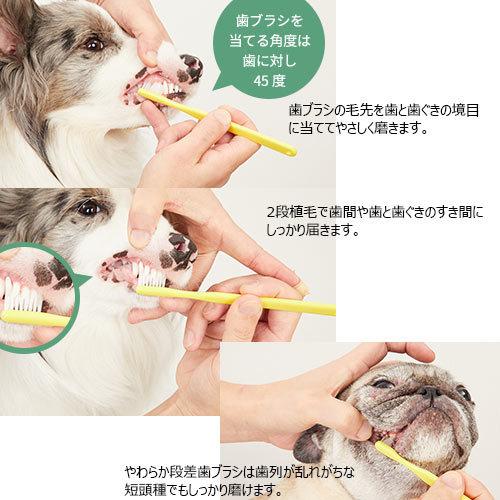 たかくら新産業 やわらか段差歯ブラシ(Hi taper) S made of たかくら新産業 やわらか段差歯ブラシ(Hi taper) S made of