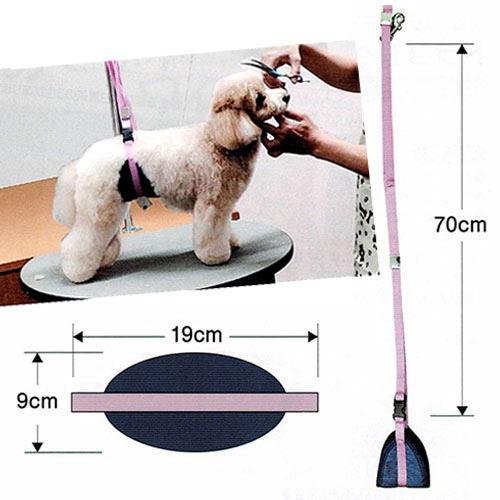 【キンペックス】ボディヘルパーリード　【メール便対応】★ | KINPEX | 02