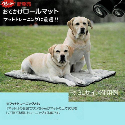 おでかけロールマット　３Ｌ | KINPEX | 01