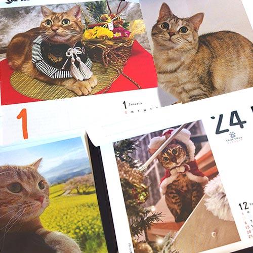 2026年カレンダー　猫めくり　台座付き　日めくりカレンダー　★ |  | 01