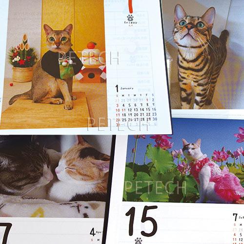 2027年カレンダー 猫めくり 台座付き 日めくりカレンダー |  | 01