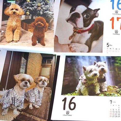 2026年カレンダー　犬めくり　台座付き　日めくりカレンダー　★ |  | 01