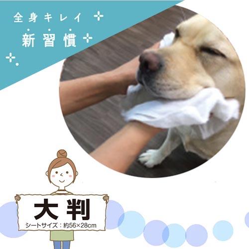 ふきとりワン　PET BODY TOWEL（ペットボディタオル）約56×28cm　【メール便対応】　★ | KINPEX | 01
