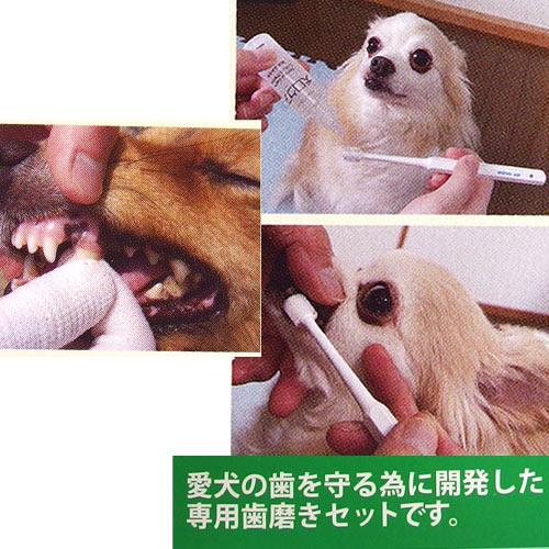 マインドアップ 犬口ケア お手軽歯磨きセット（超小型犬用
