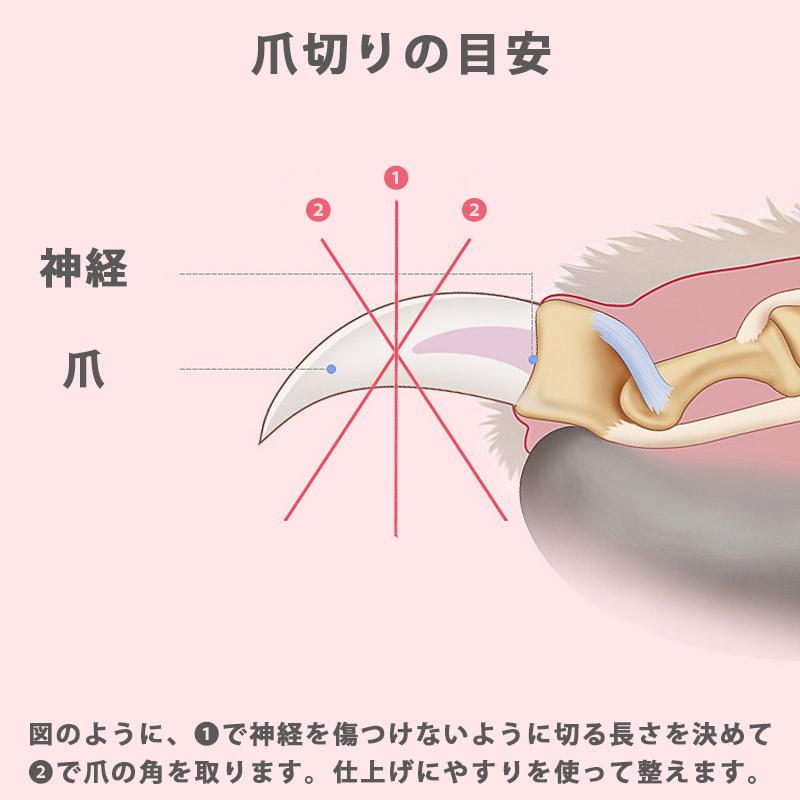 Petfind 犬 猫 ペット用爪切り やすり 付き ストッパー クリッパー ペット用 トリミング サイズ2種類 大 小 Clipper 01 Pet Find Yahoo ショッピング店 通販 Yahoo ショッピング
