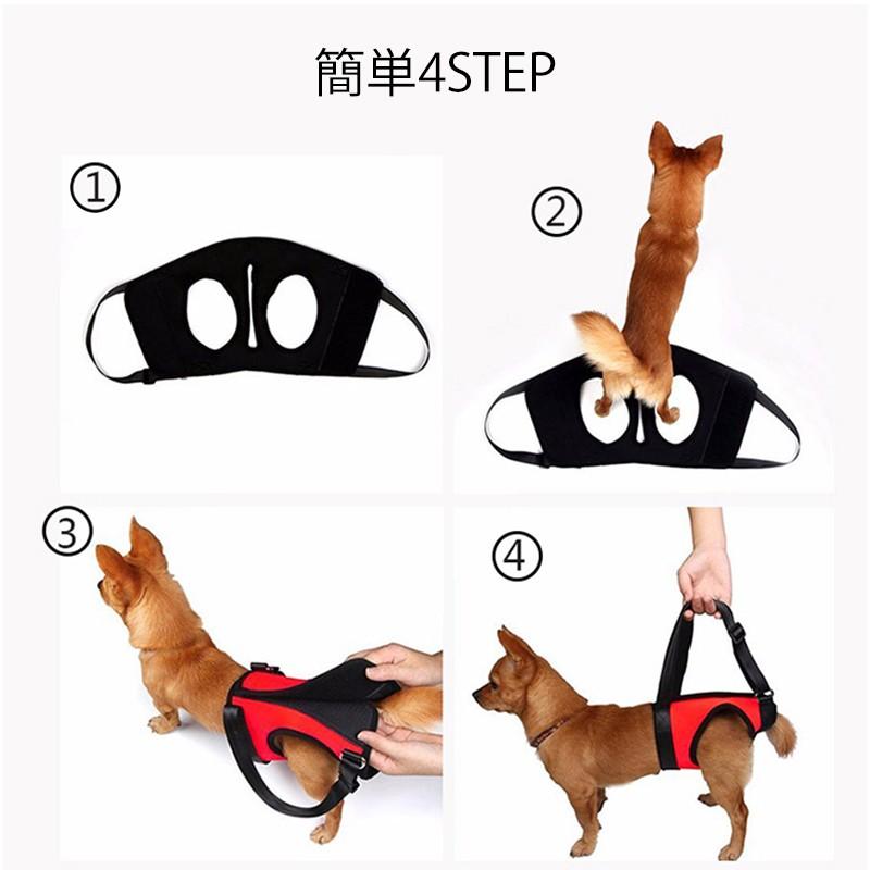 犬のリハビリテーション 楽天市場】☆セール50％OFF☆【楽天ランキング1位受賞】犬