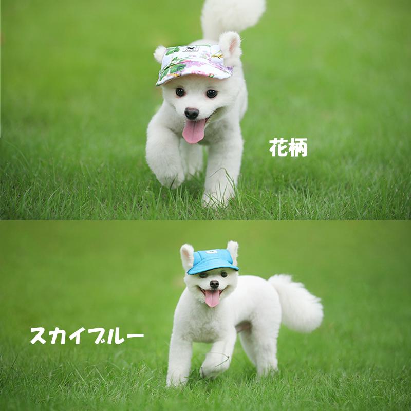 PET FiND 犬服 PETFiND 犬 服 帽子 キャップ 散歩 日よけ 春 夏