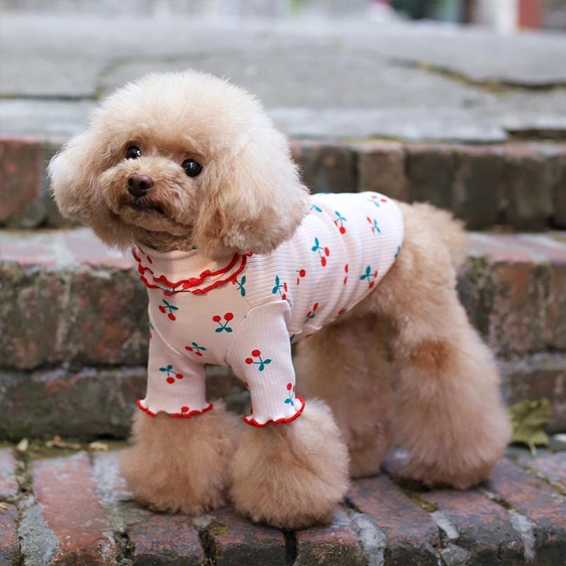 PET FiND 【50%OFF対象】犬 服 犬服 春 夏 さくらんぼフリル