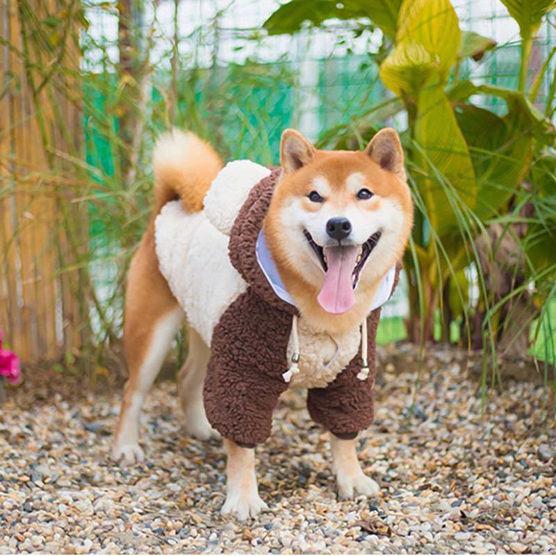秋服新作 犬服 ブランド かわいい 防寒 Petfind 犬 犬の服 秋冬 中型 大型 もこもこ熊耳パーカー しっぽ フード Crma 1344 Pet Find Yahoo ショッピング店 通販 Yahoo ショッピング