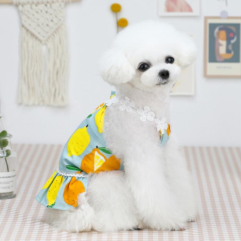 PET FiND（ペットファインド） 犬服 春物 夏物 レモン柄キャミソール