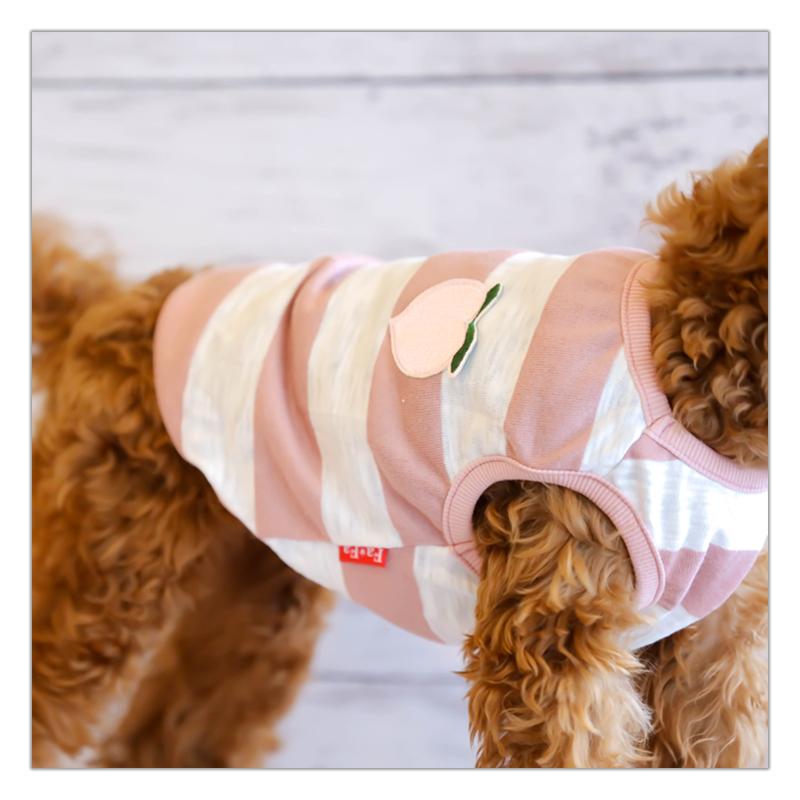 PET FiND（ペットファインド） 犬服 フルーツ柄ボーダータンクトップ