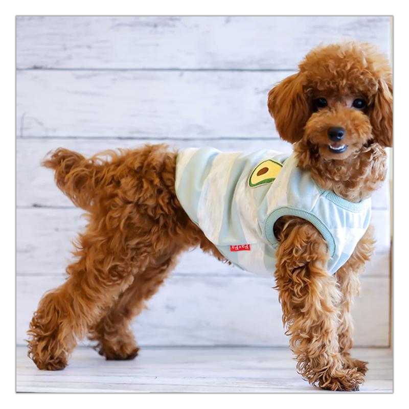 PET FiND（ペットファインド） 犬服 フルーツ柄ボーダータンクトップ